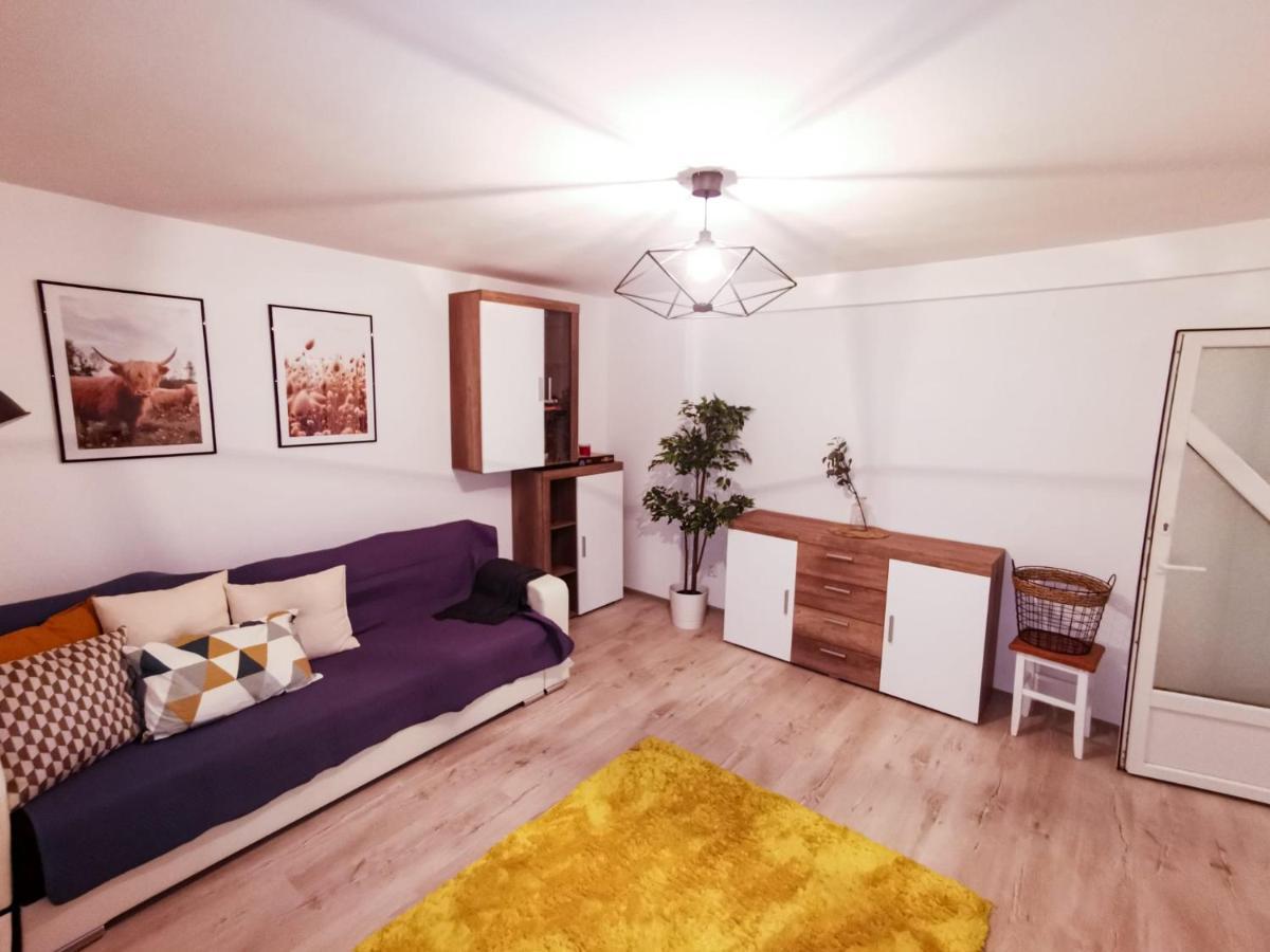 105500 Apartment Buşteni Exteriör bild